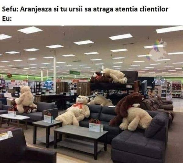 Ursi in magazin